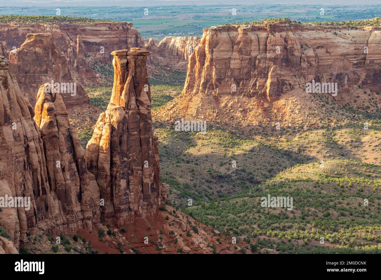 Monument Canyon, Colorado National Monument, in der Nähe von Fruita, CO, USA, Ende September, von Dominique Braud/Dembinsky Photo Assoc Stockfoto