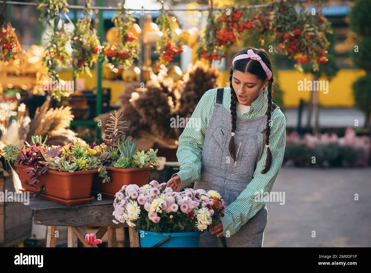 Der Verkauf von Blumen stellt Blumen in einen Eimer zum Verkauf Stockfoto