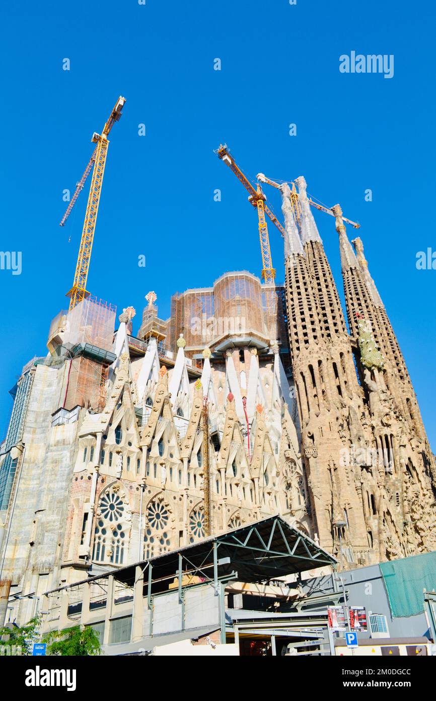 sagrada Familia, von unten gesehen auf Straßenebene. Stockfoto