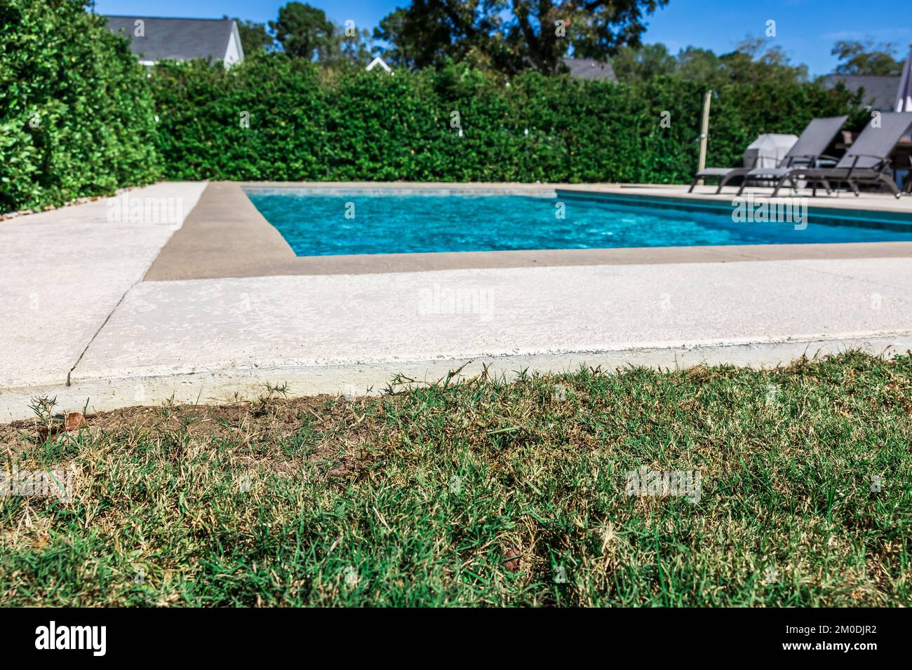 Ein rechteckiger neuer Swimmingpool mit hellbraunen Betonkanten im eingezäunten Garten eines neuen Bauhauses Stockfoto