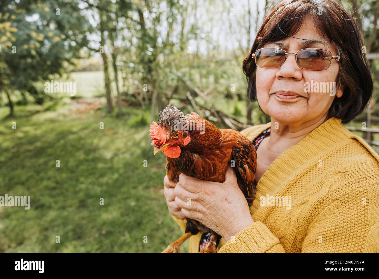 Nahaufnahme einer lateinamerikanischen Farmerin mit roter Hühnerrasse in einer ländlichen Landschaft. Speicherplatz kopieren Stockfoto