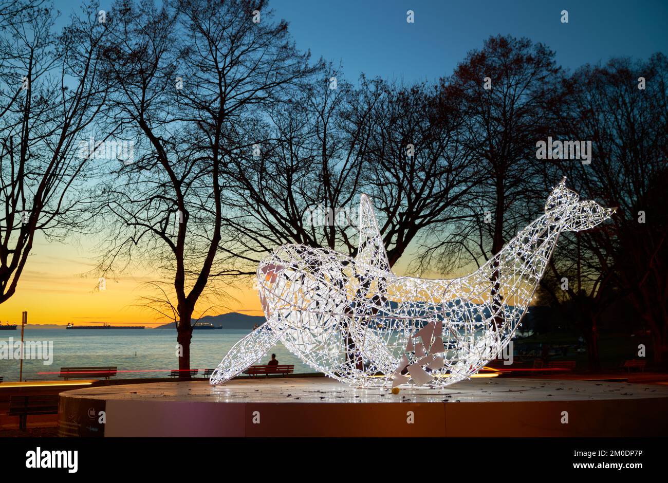 Vancouver, British Columbia, Kanada – 20. November 2019 Lumiere Lights Orca English Bay. Eine Walskulptur aus Lichtern. Stockfoto