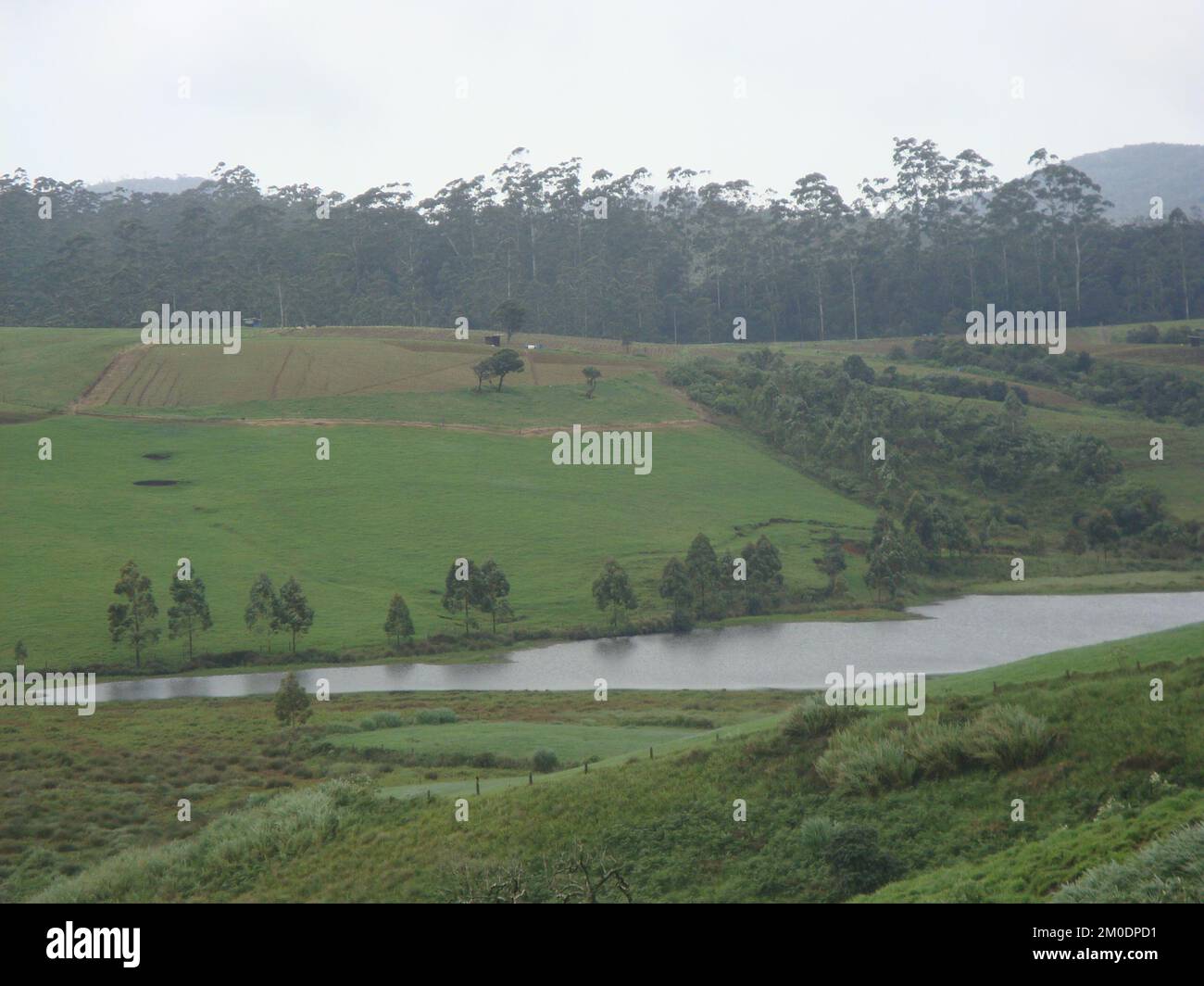 Wunderschöne Landschaftsfotos in Sri Lanka mit kleinen Wasserfällen Stockfoto