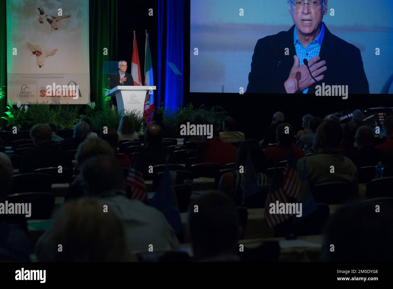 Büro des stellvertretenden Verwaltungsrats - Enten unbegrenzt, Umweltschutzbehörde Stockfoto