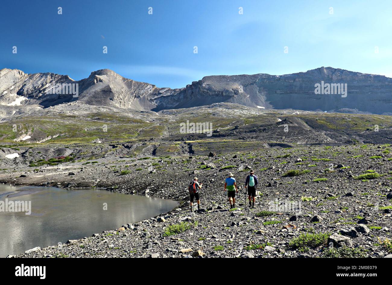 Wandern Sie durch die Gletscher, Felsen und Wildblumen auf dem Petain-Gletscher. Stockfoto