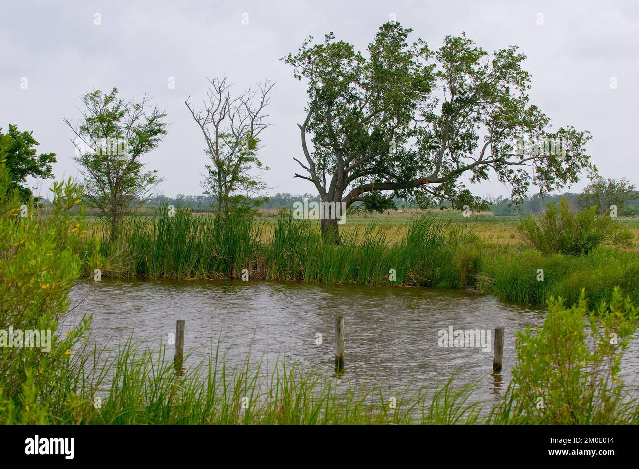 Büro der Verwaltungsrätin (Lisa P. Jackson) - Cocodrie, Louisiana und Oil Disaster Meeting in Dulac, Louisiana (BP-Ölpest) - USEPA-Foto von Eric Vance, Environmental Protection Agency Stockfoto