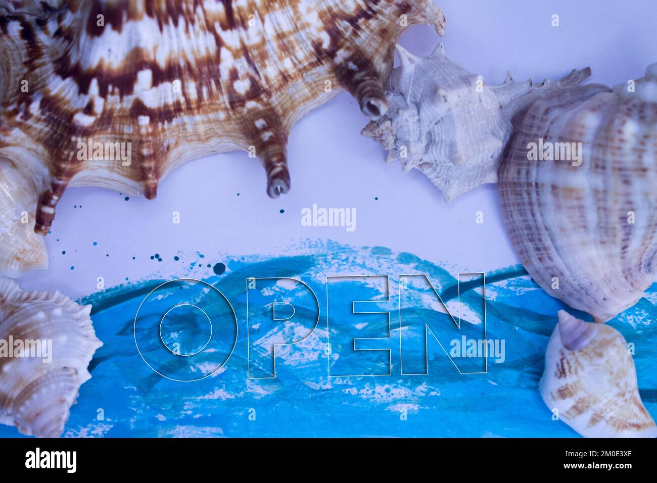 Animal Shell, Sommerurlaub, Meereshintergrund mit offenem Text. Stockfoto