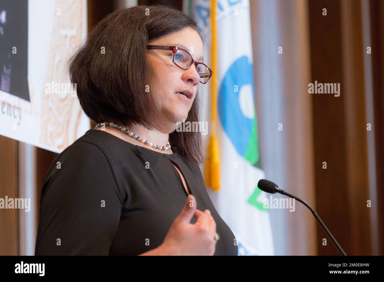 Büro für Bürgerrechte - 50.. Jahrestag des Bürgerrechtsgesetzes von 1964 Celebration , Umweltschutzbehörde Stockfoto