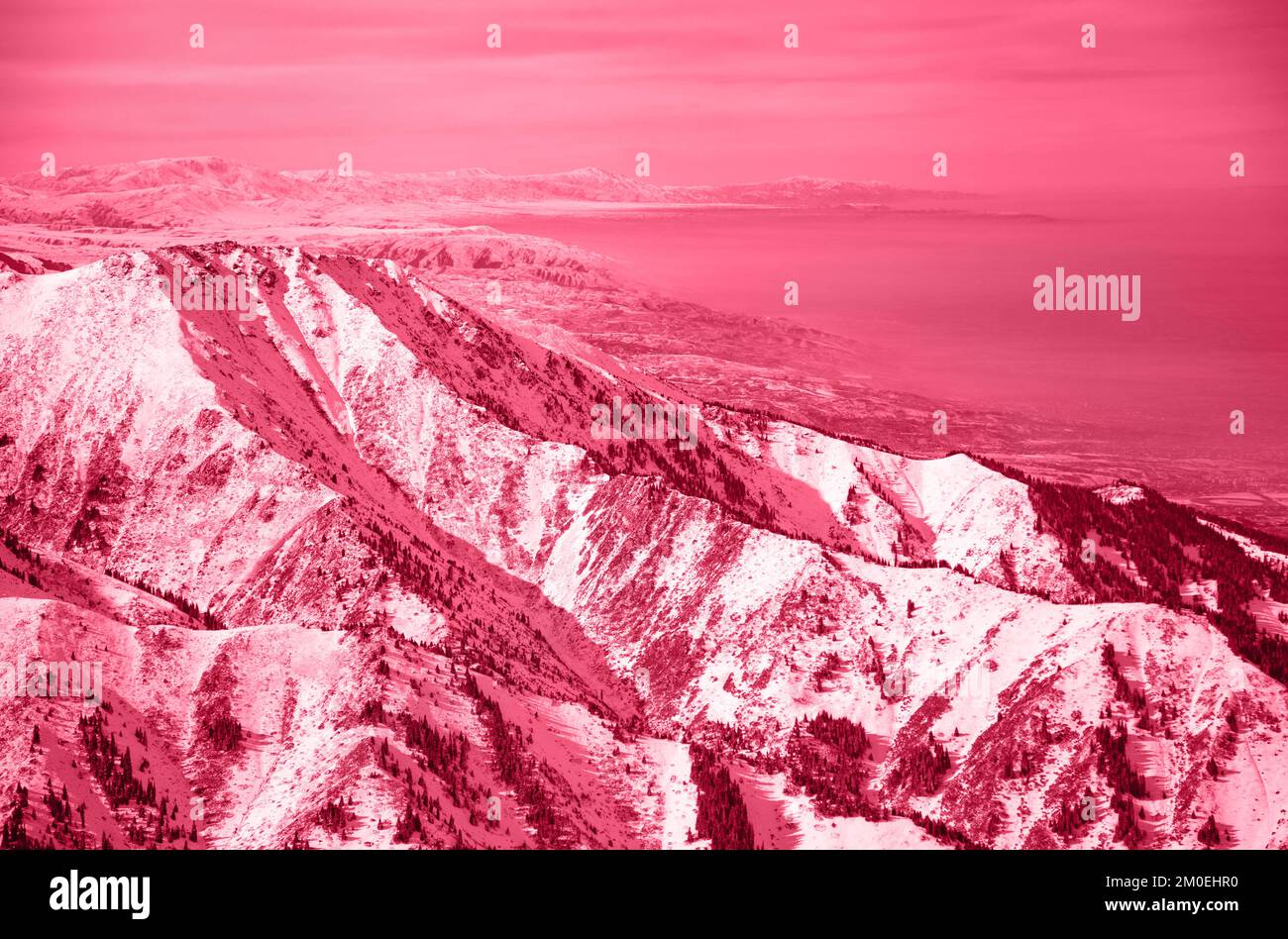 Wunderschöne Winterberge. Viva Magenta - trendige Farbe von 2023 Jahr. Stockfoto