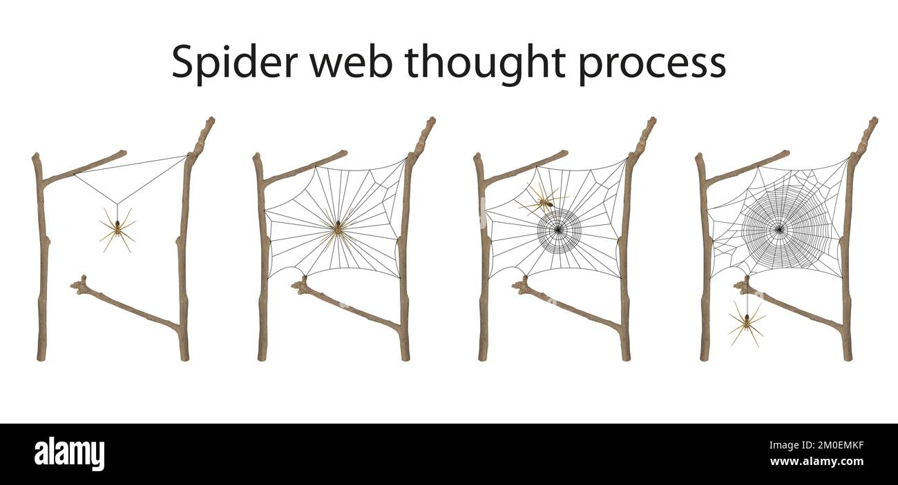 Spider-Web-Denkprozessdarstellung Stockfoto