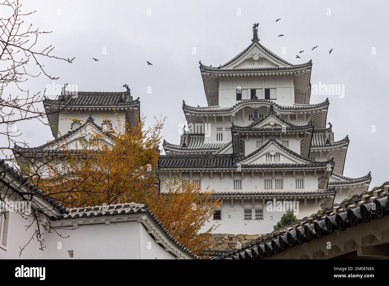 Himeji, Japan. Der Hauptturm (Tendu) der Burg White Egret oder Heron, eine Burganlage aus der Azuchi Momoyama-Zeit und ein Weltkulturerbe Stockfoto