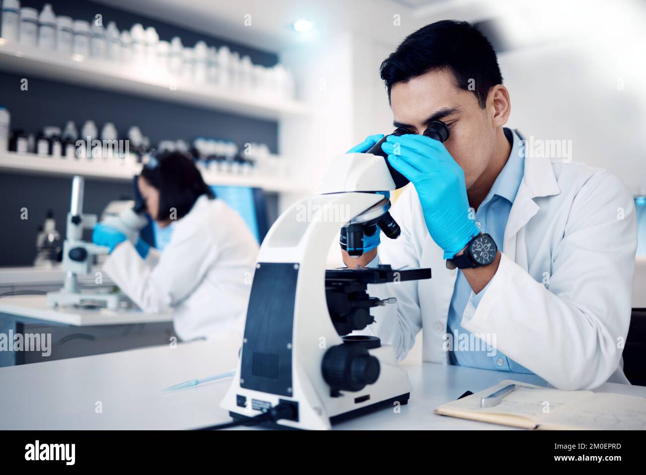 Wissenschaft, Forschung und Mensch mit medizinischem Mikroskop für Untersuchung, Analyse und Probenuntersuchung im Labor. Gesundheitswesen, Medizin und männliche Wissenschaftler nutzen Stockfoto