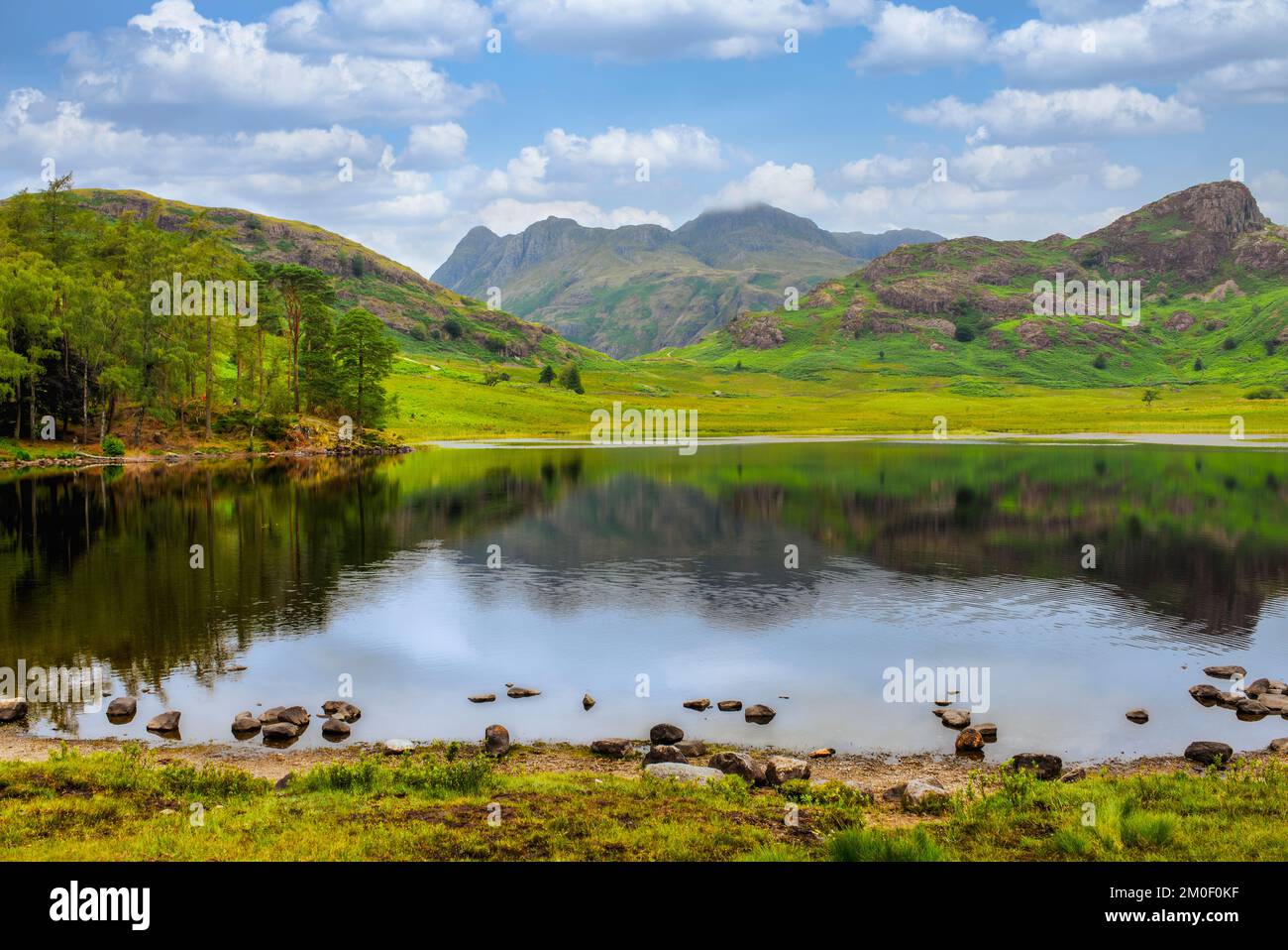 Blea Tarn im Lake District Nationalpark. Ein kleines Gewässer mit Zugang für Wanderer und Weidevieh Stockfoto