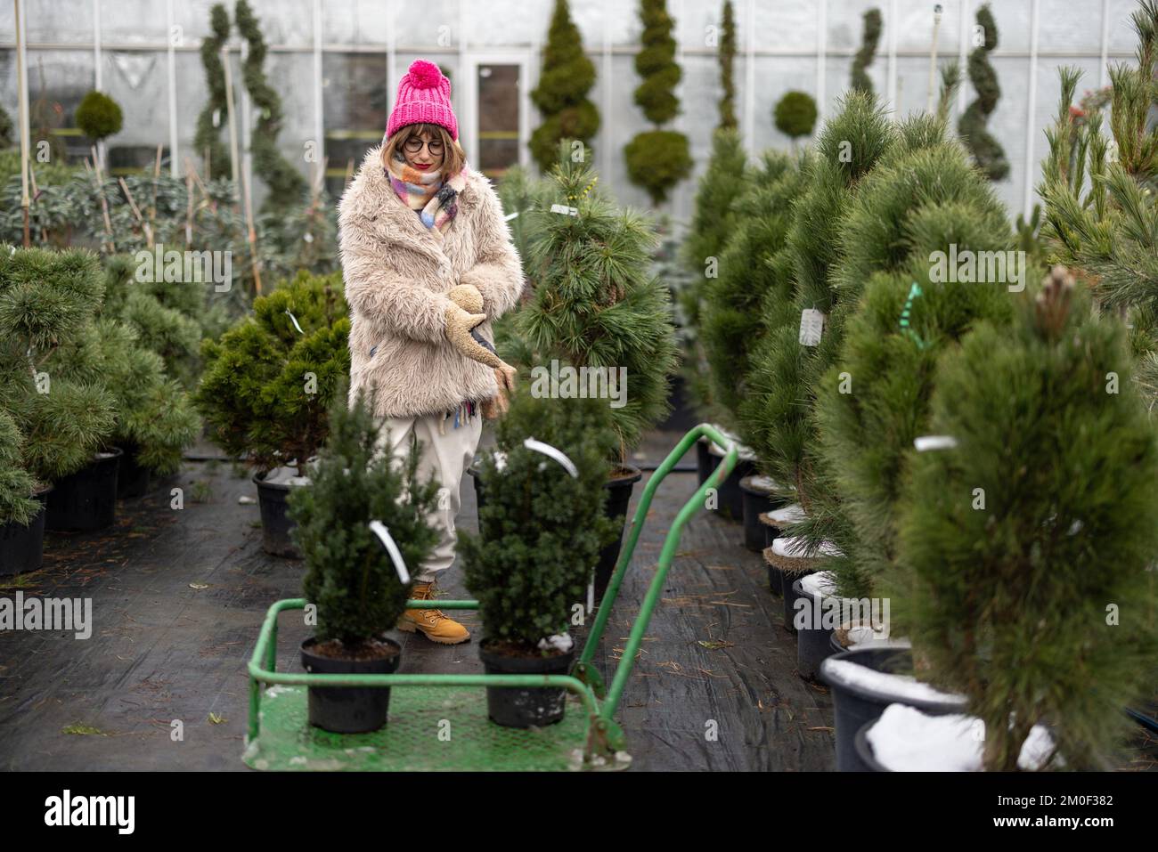Frau, die im Winter Pflanzen auf dem Freiluftmarkt einkauft Stockfoto