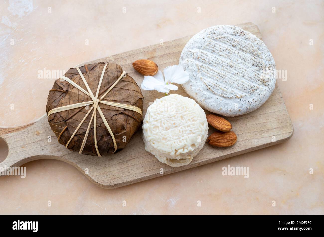 Geschmack von Frankreich, kleiner runder Käse Tome de Provence ...