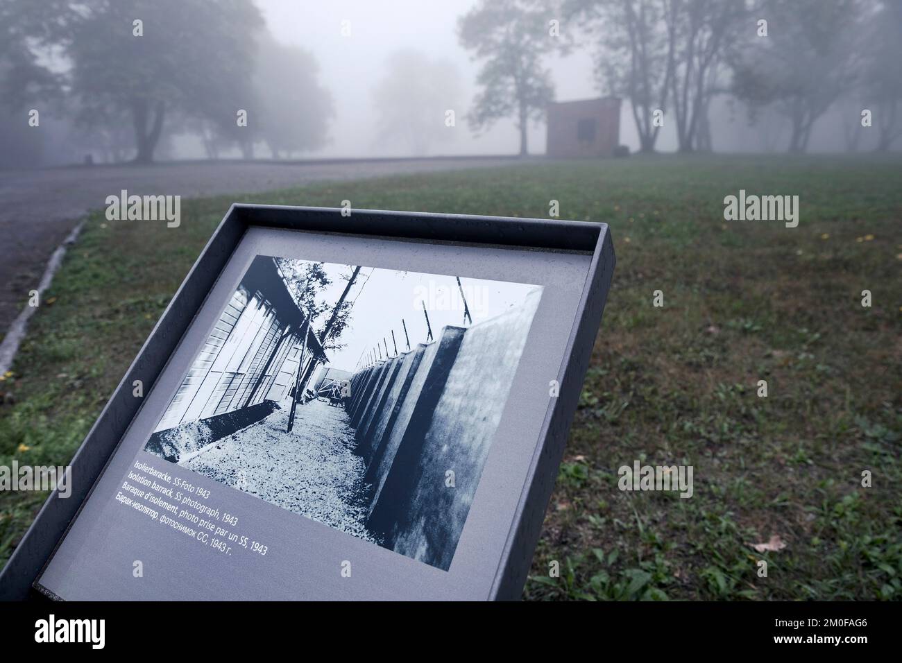 Foto am Standort der Isolationsbaracken im KZ Buchenwald, heute ein KZ-Mahnmal, Deutschland, Thüringen, Stockfoto