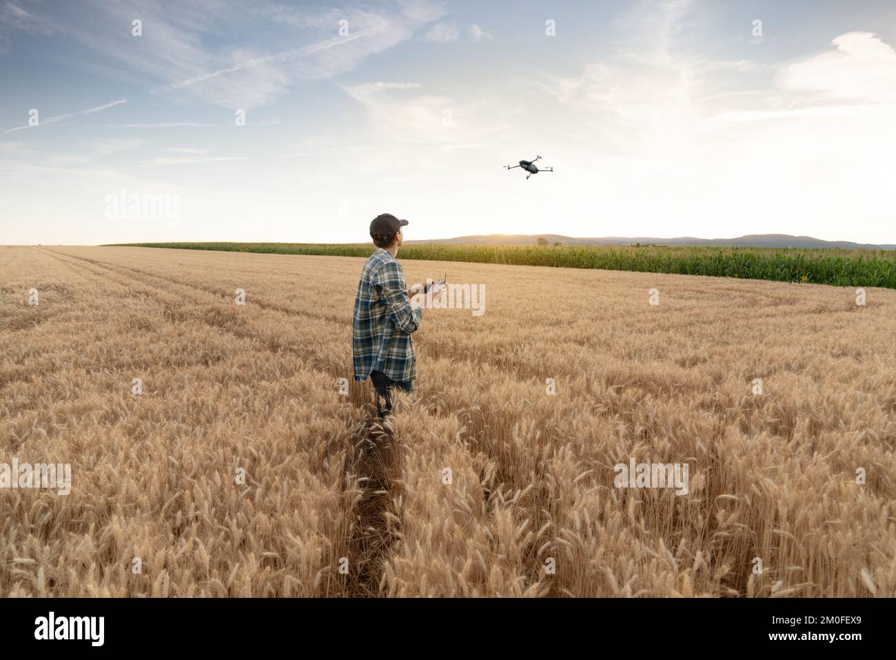 Der Bauer kontrolliert die Drohne. Intelligente Landwirtschaft und Präzisionslandwirtschaft Stockfoto
