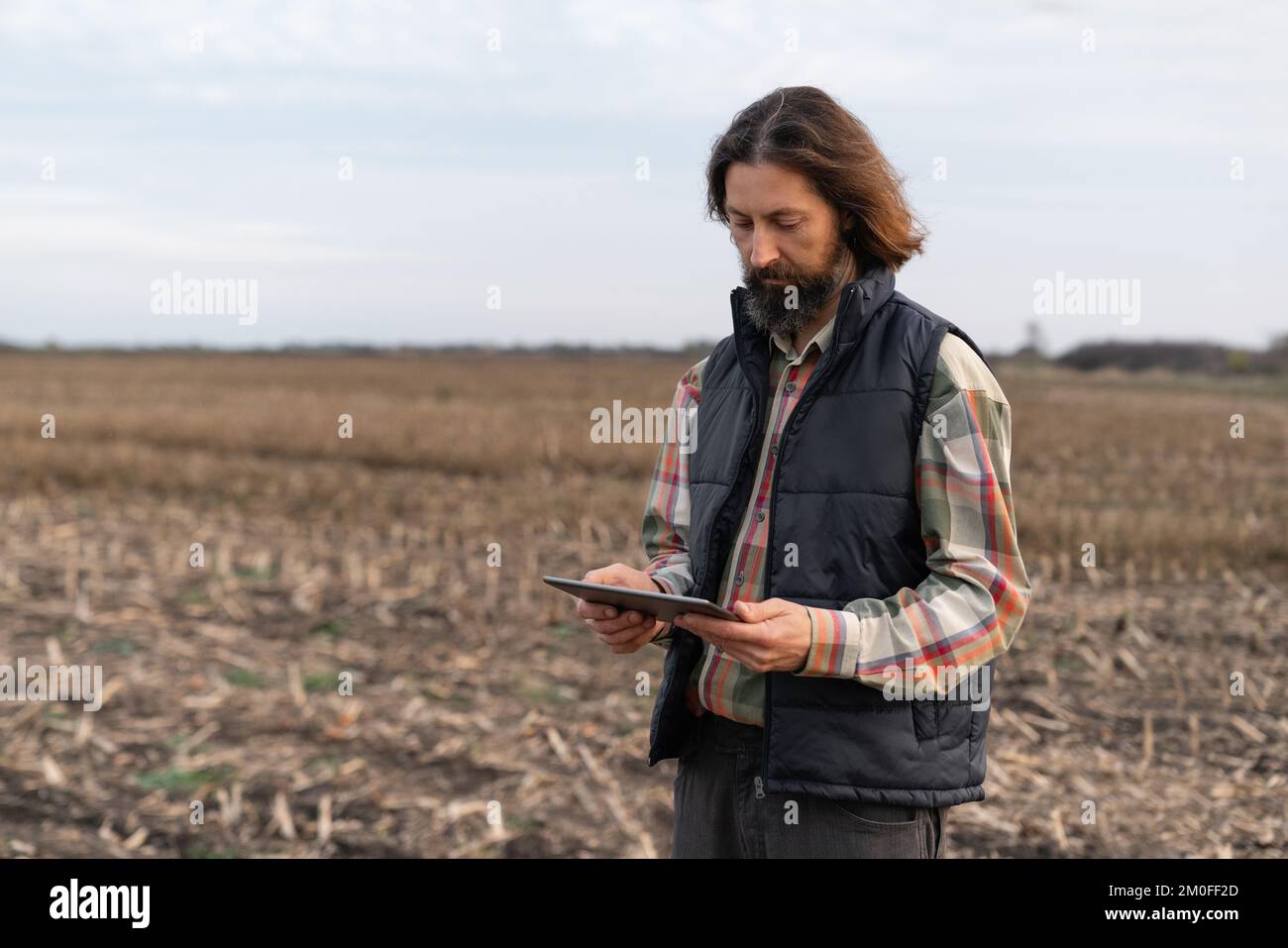 Landwirt mit Digitaltablette auf Jungweizenfeldern. Intelligente Landwirtschaft und digitale Landwirtschaft Stockfoto