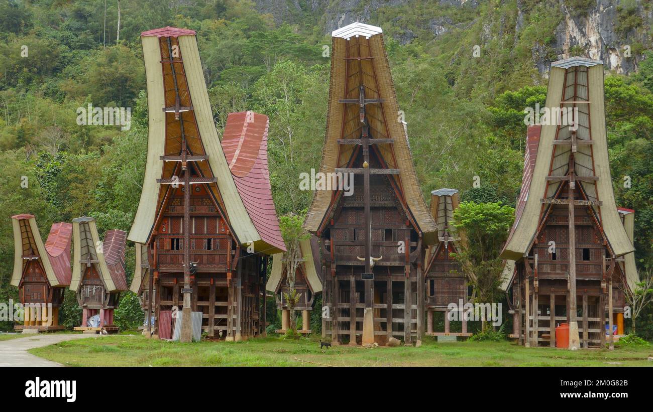 Landschaftsblick auf wunderschöne traditionelle hölzerne Tongkonanhäuser im Dorf Kandeapi, in der Nähe von Rantepao, Tana Toraja, South Sulawesi, Indonesien Stockfoto