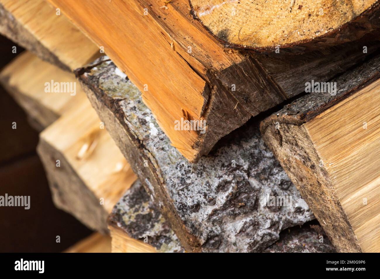 Ein Haufen Brennholz, Birkenkeile gestapelt, Nahaufnahme Stockfoto