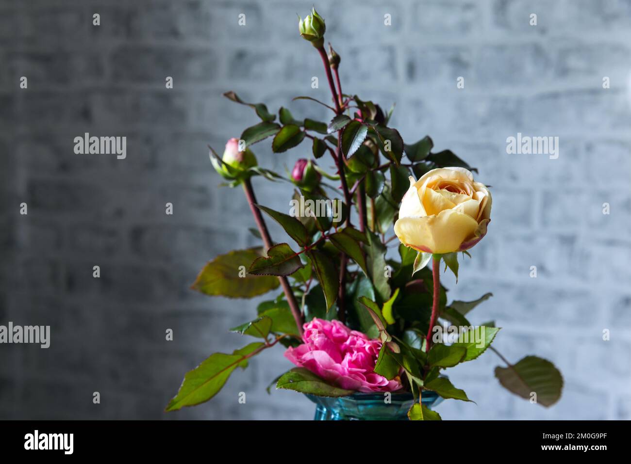 Strauß farbenfroher Rosen über grauen Ziegelmauern Stockfoto