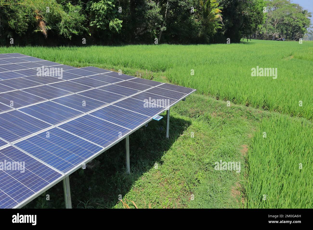 Solarstrom zur Versorgung der Wasserpumpe in den Reisfeldern Stockfoto