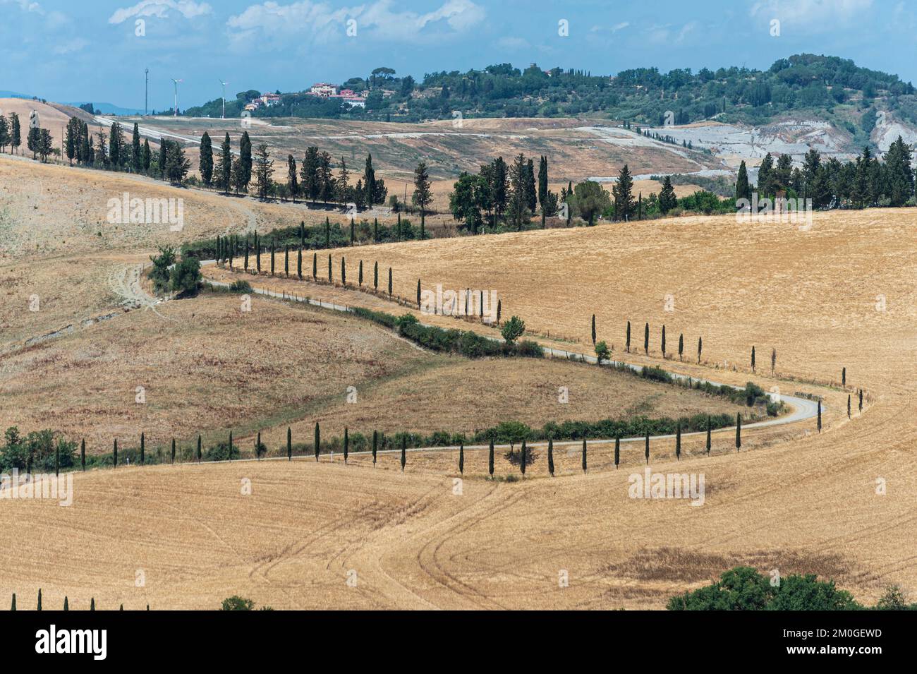 Land, ghizzano, italien Stockfoto