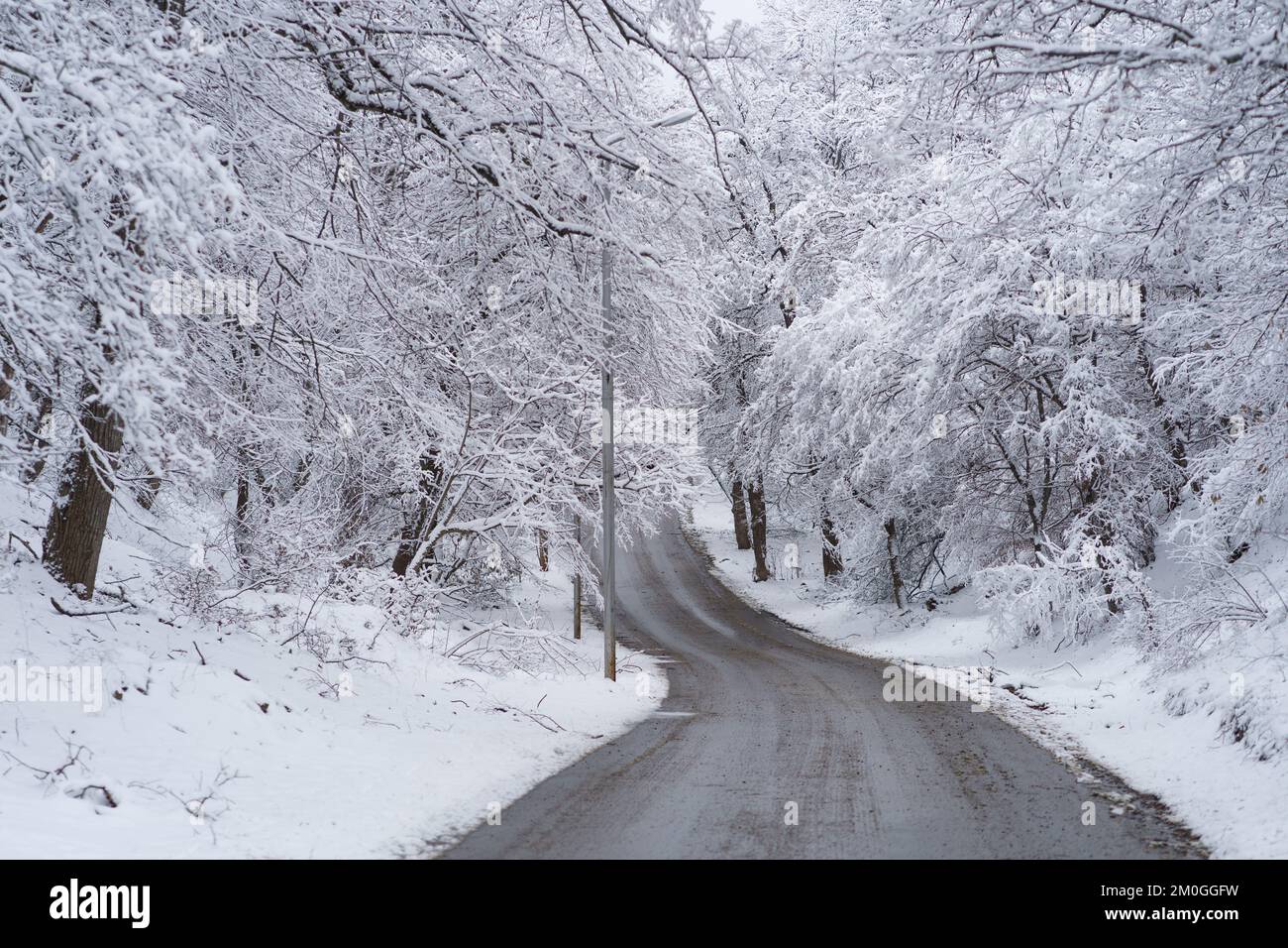 Verschneite Auffahrt. Schneebedeckte Bergstraße in Georgia. Winterwald nach Schneefall Stockfoto
