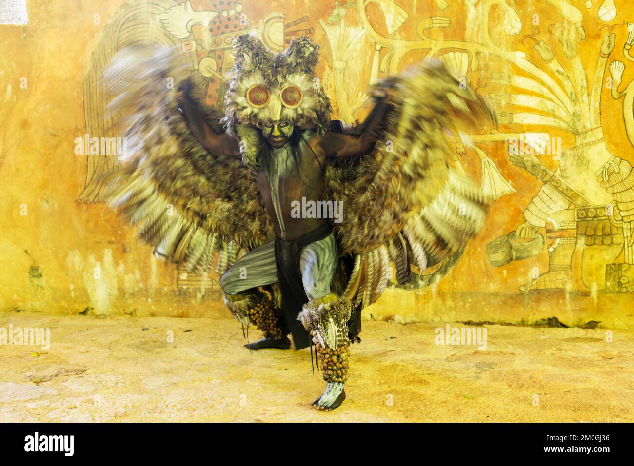 Mexiko, Yucatan, Xcaret ist ein archäologischer Park an der Riviera Maya. Porträt von Buho (Eule, Ein heiliges Tier für die Maya) Stockfoto