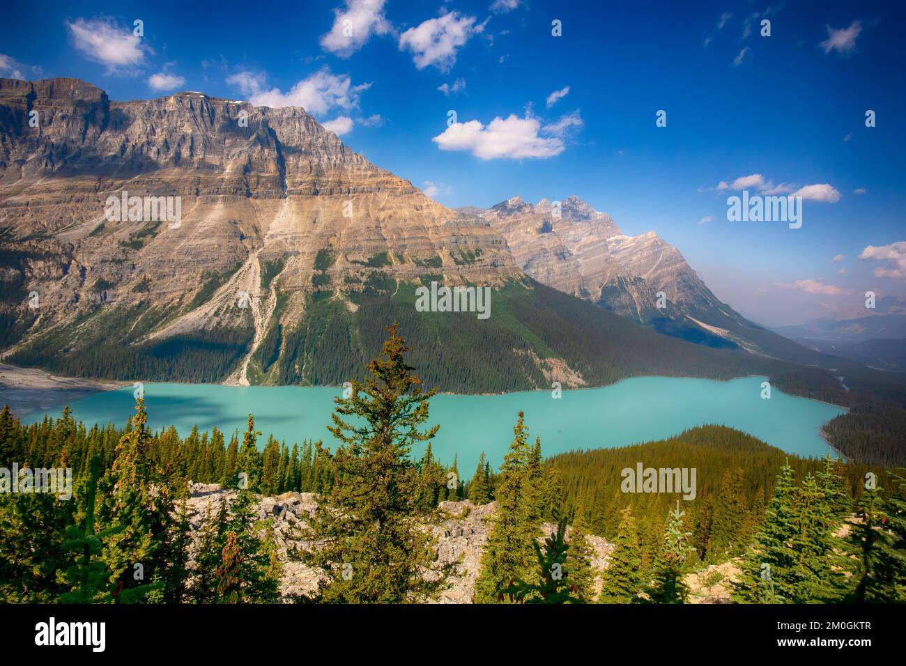 Peyto Glacial Lake, Jasper National Park, Kanadische Rockies Stockfoto