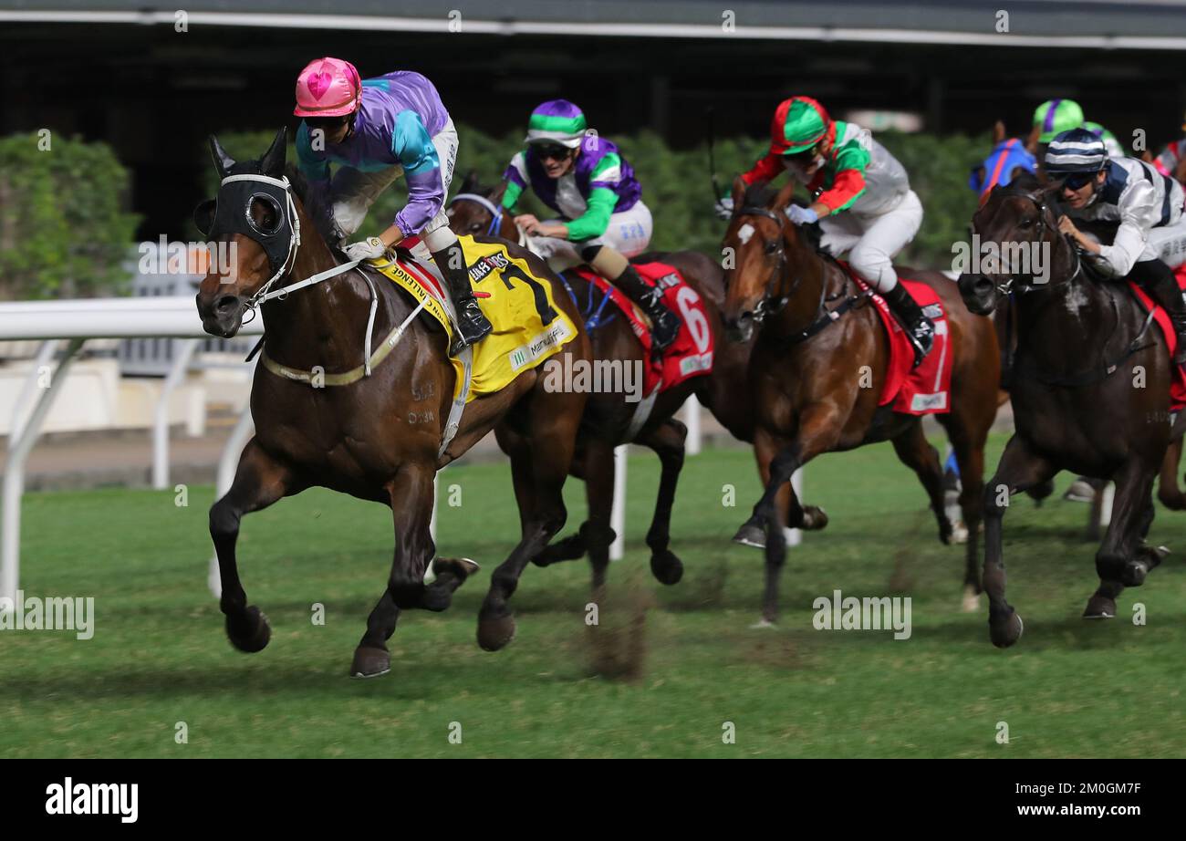 Rennen 10, STREET SCREAM(2), geritten von Matthew Chadwick, gewann die Klasse 3 gegen 1200m im Happy Valley. Okt. 22 SCMP / Kenneth Chan. Stockfoto