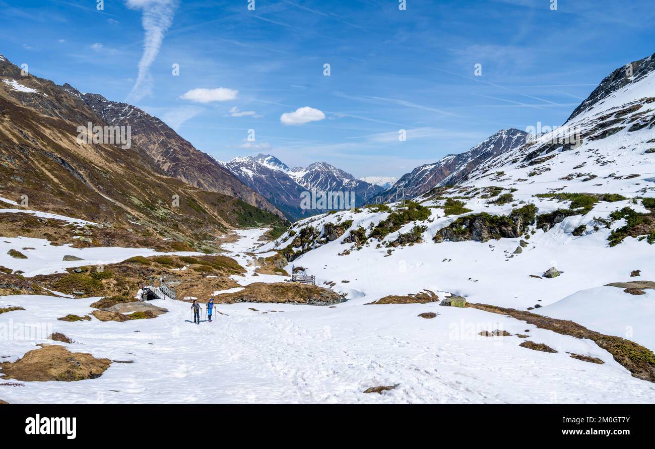 Skitouristen mit wenig Schnee im Frühling, Aufstieg nach Franz Senn Hut, Oberbergtal, Tirol, Österreich, Europa Stockfoto