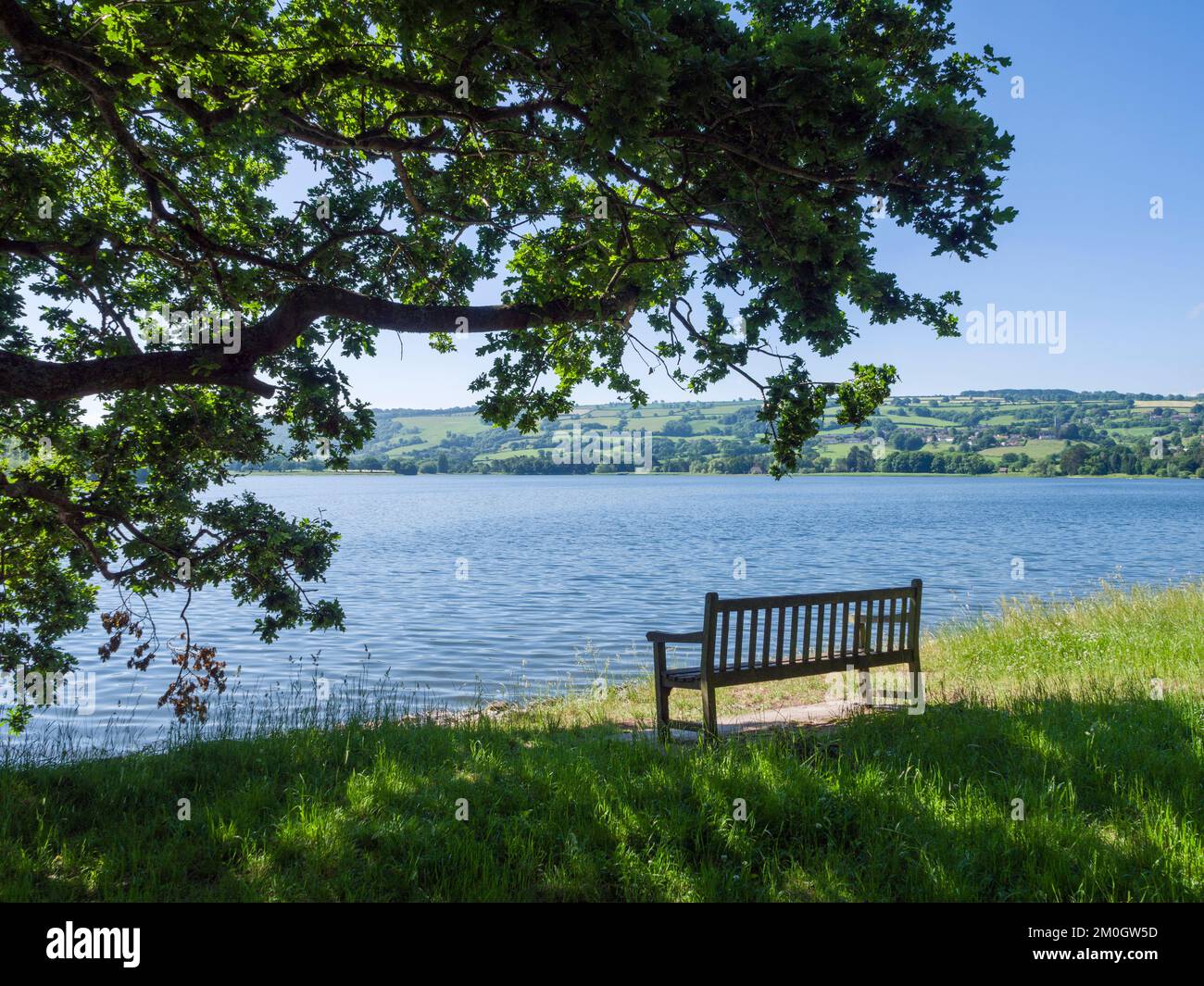 Eine Sitzbank am nördlichen Ufer des Blagdon Lake mit den Mendip Hills dahinter, North Somerset, England. Stockfoto