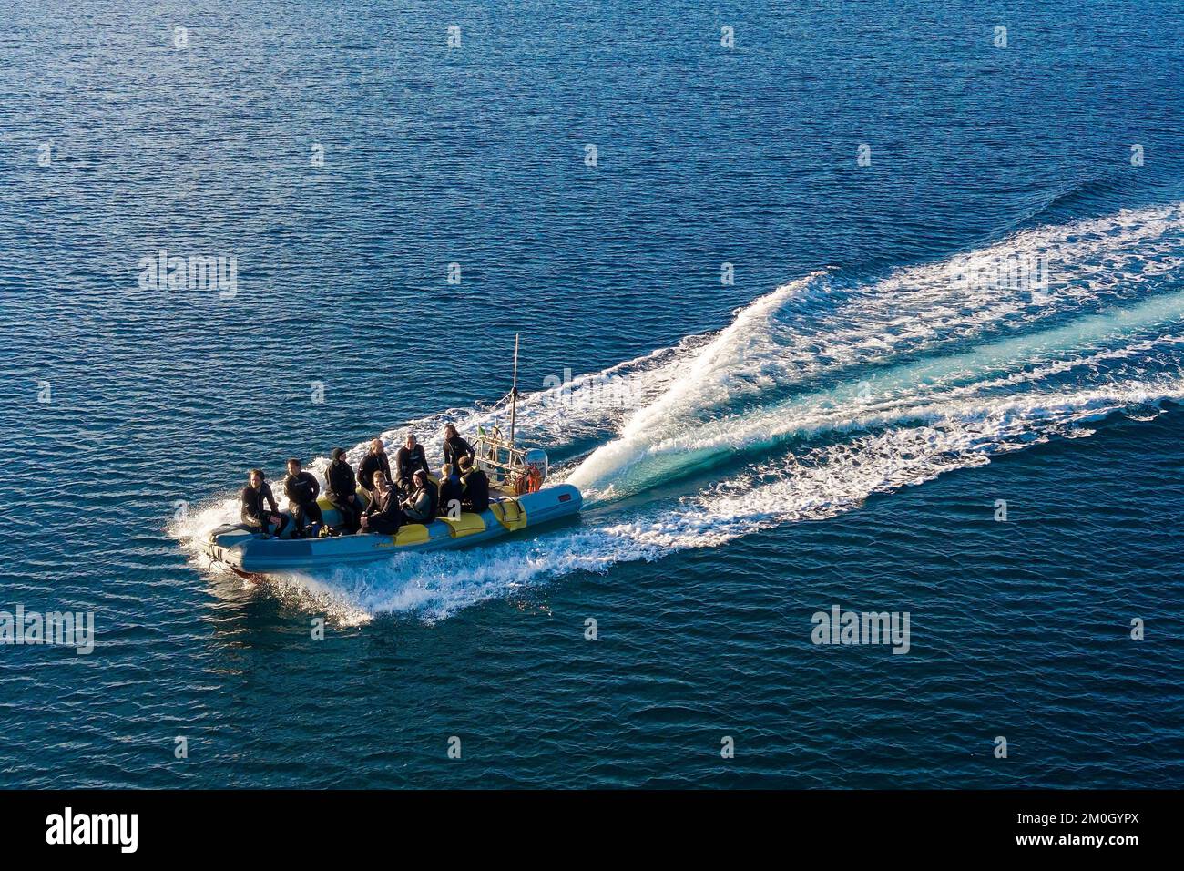 Aus der Vogelperspektive sehen Sie das aufblasbare Tauchboot in schnellem Tempo mit Taucher an Bord, Tyrrhenisches Meer, Toskana, Italien, Europa Stockfoto