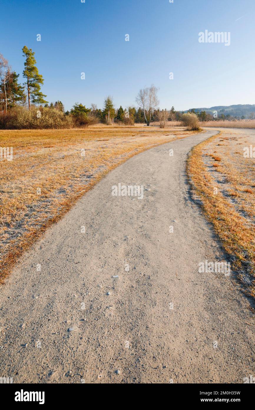 Die ersten Sonnenstrahlen beleuchten den Feldweg im Naturschutzgebiet entlang des Pfäffikon-Sees im Kanton Zürich, Schweiz, Europa Stockfoto