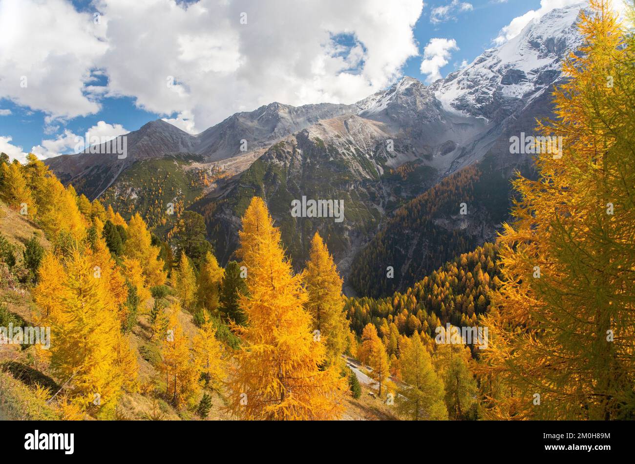 Italien, Lombardei und Trentino-Südtirol, Bormio, Prato allo Stelvio, Stelvio-Nationalpark Stockfoto