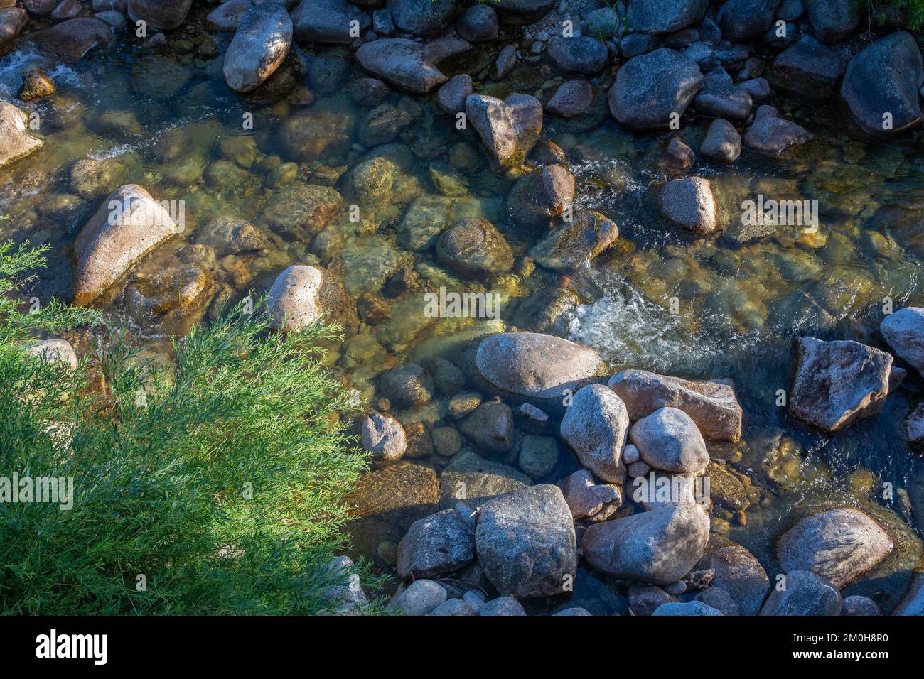 Frankreich, Lozere, Le Pont de Montvert, der Fluss Tarn Stockfoto