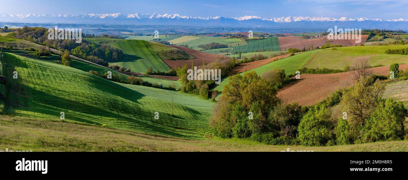 Frankreich, Gers, Masseube, in Astarac, Landschaft der Gers mit den Pyrenäen im Hintergrund Stockfoto