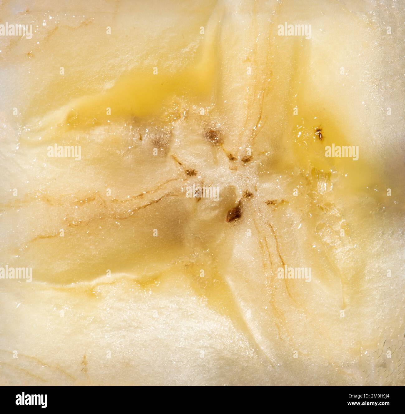 Bananentextur als Hintergrund. Nahaufnahme einer Banane. Makrofoto. Stockfoto