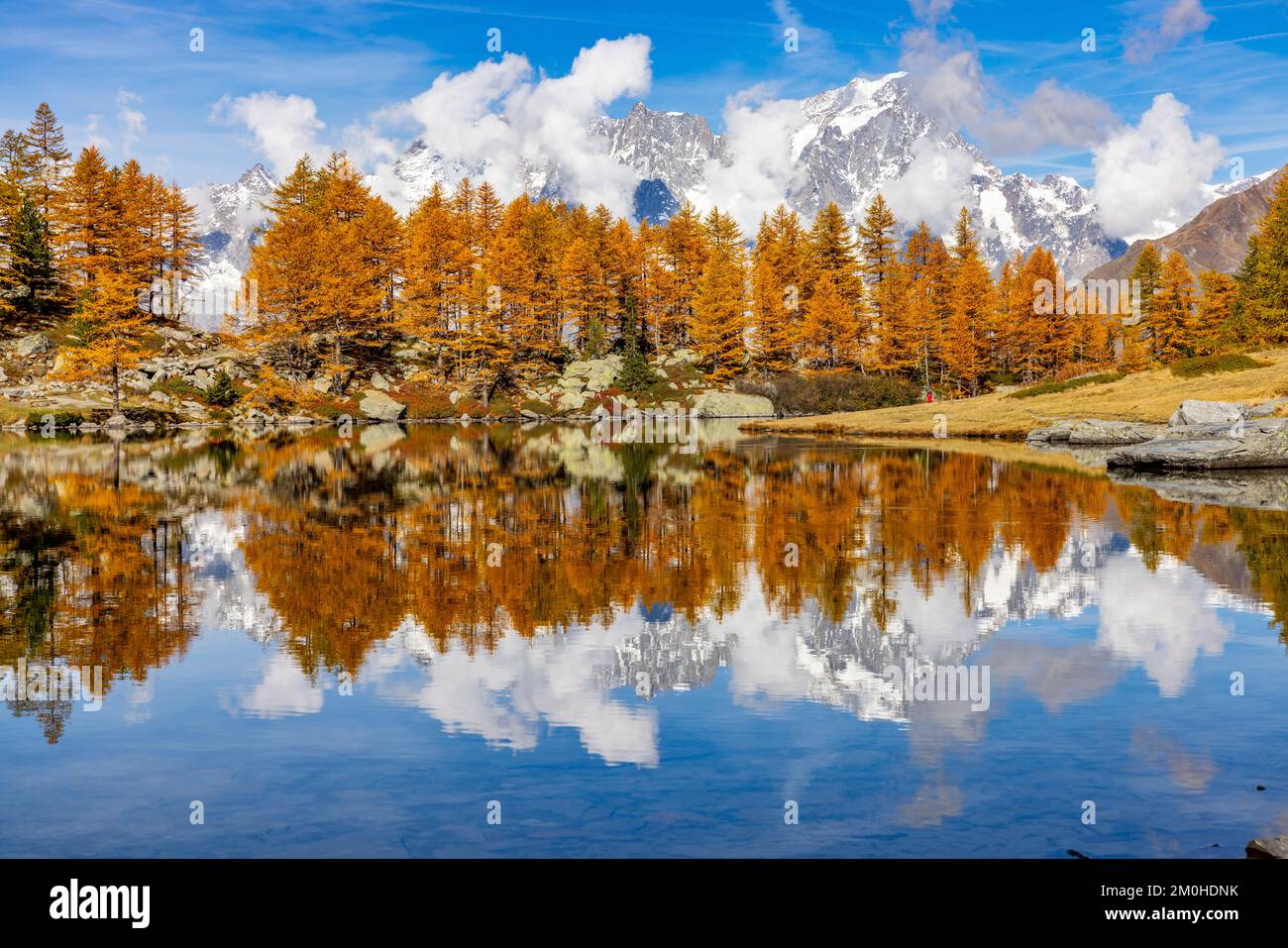 Italien, Aosta-Tal, Val d'Arpy, Arpy-See (2066 m) im Herzen des Lärchenwaldes im Herbst spiegeln sich das Massiv Mont Blanc und die Grandes Jorasses im See wider. Stockfoto