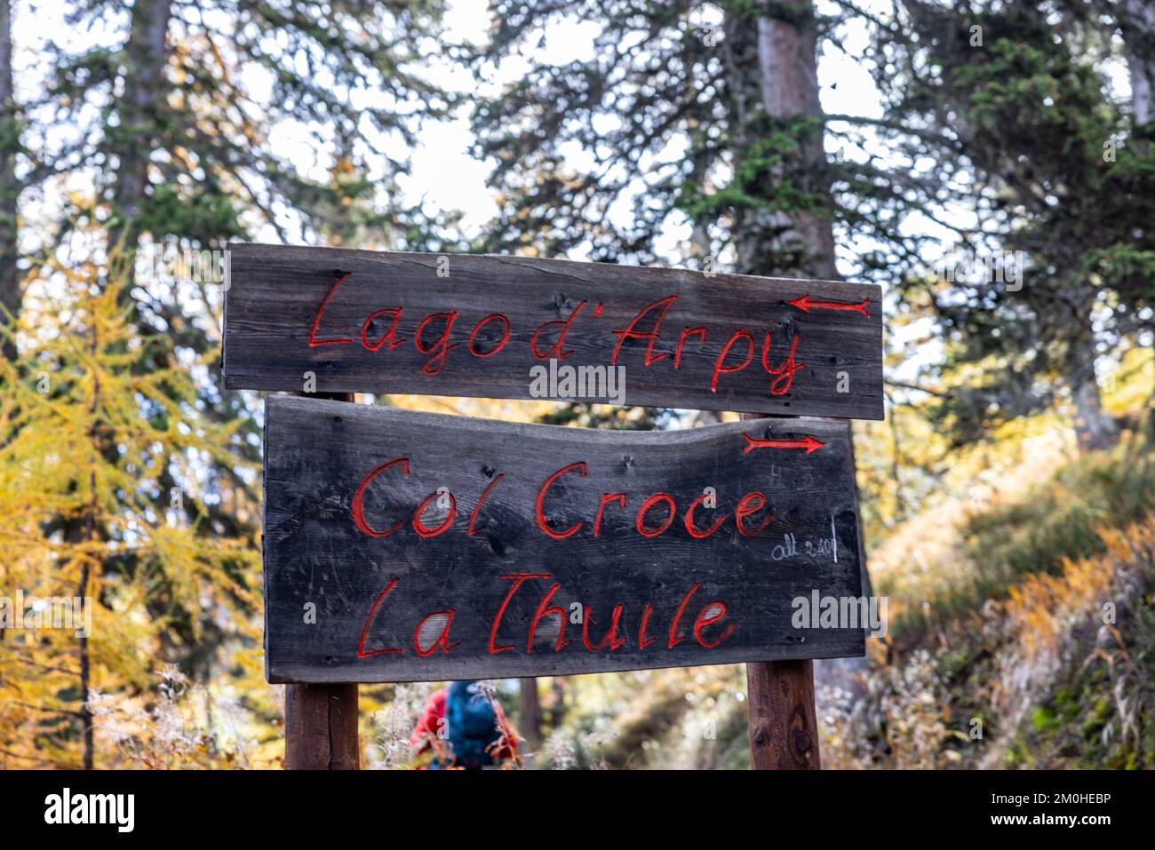 Italien, Aosta-Tal, Val d'Arpy, Larch-Wald im Herbst, auf dem Weg zum Arpy-See (2066 m), Stockfoto