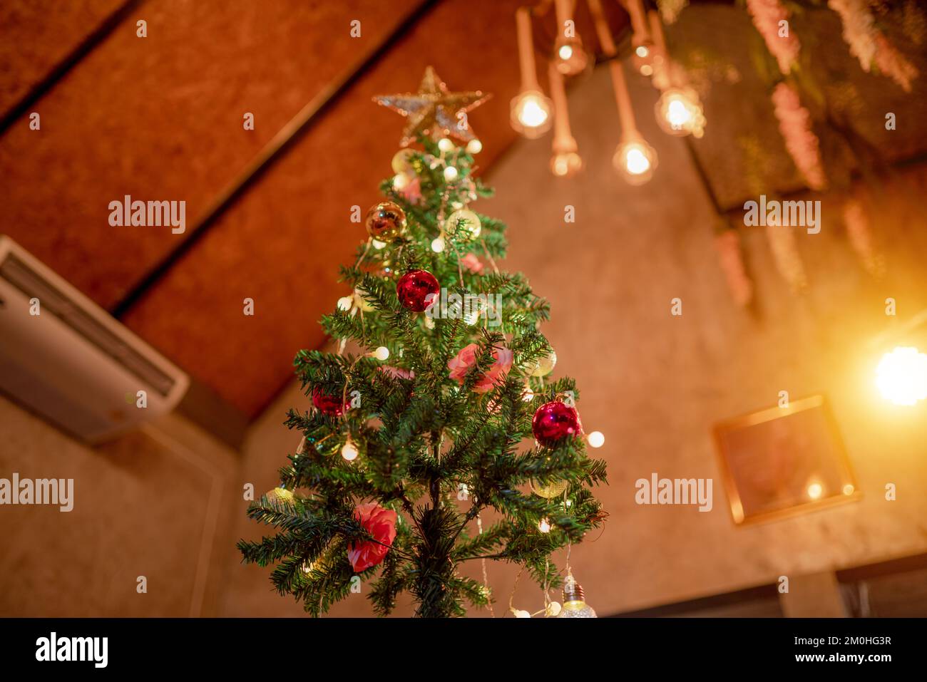 Weihnachtsbaum im Haus Stockfoto