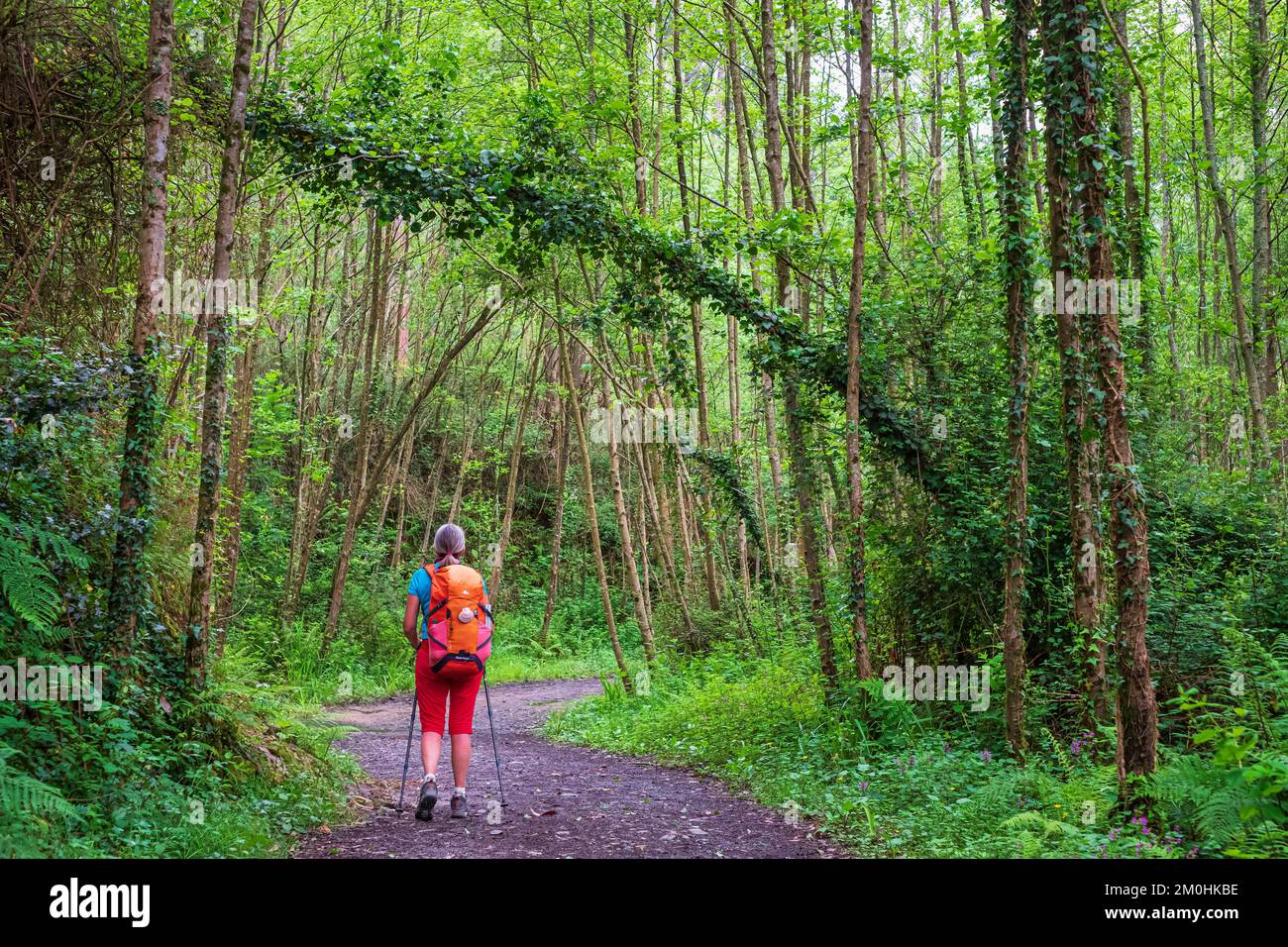 Spanien, Provinz Kantabrien, Ori?on, Wanderung auf der Camino del Norte, spanische Pilgerroute nach Santiago de Compostela, ein UNESCO-Weltkulturerbe Stockfoto