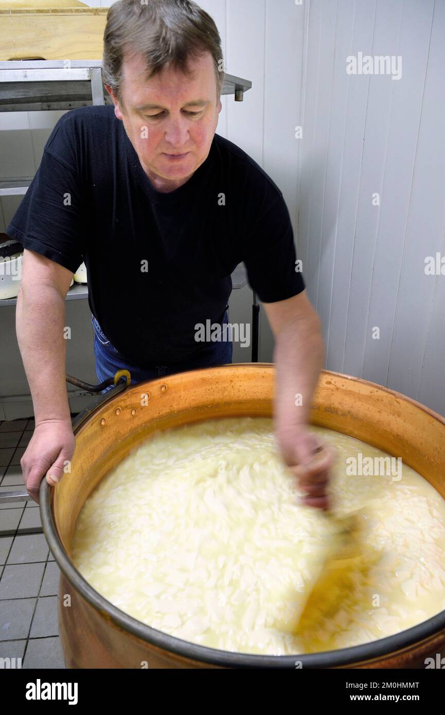 Frankreich, Haut Rhin, Wasserbourg, Ferme-auberge (Farm-Inn) Buchwald, Marcaire Michel Wehrey bei der Herstellung von munster AOP Käse (Kuhmilch), wobei der Bruch mit einem Löffel geschnitten wird, um die Molke anzuziehen und den Käse im Kupferkessel abzusenken Stockfoto