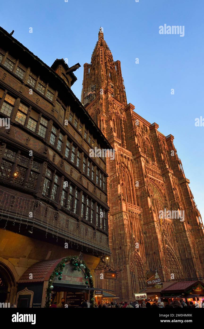 Frankreich, Bas Rhin, Straßburg, Altstadt, UNESCO-Weltkulturerbe, Kathedrale Notre Dame, Weihnachtsmarkt (Christkindelsmarik) am Fuße der Kathedrale Notre Dame und des Maison Kammerzell Stockfoto