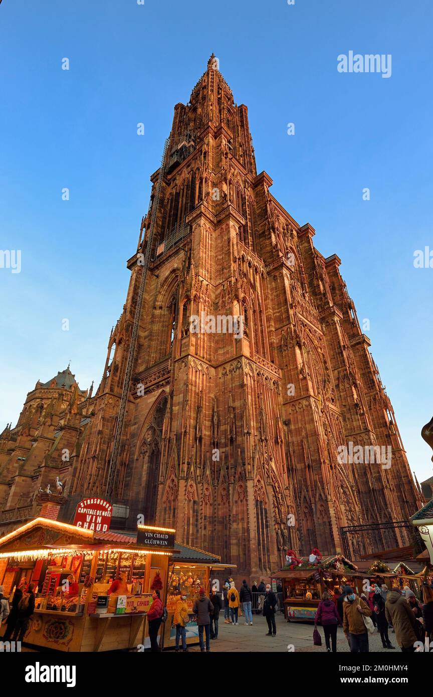 Frankreich, Bas Rhin, Straßburg, Altstadt, UNESCO-Weltkulturerbe, Kathedrale Notre Dame, Weihnachtsmarkt (Christkindelsmarik) am Fuße der Kathedrale Notre Dame Stockfoto
