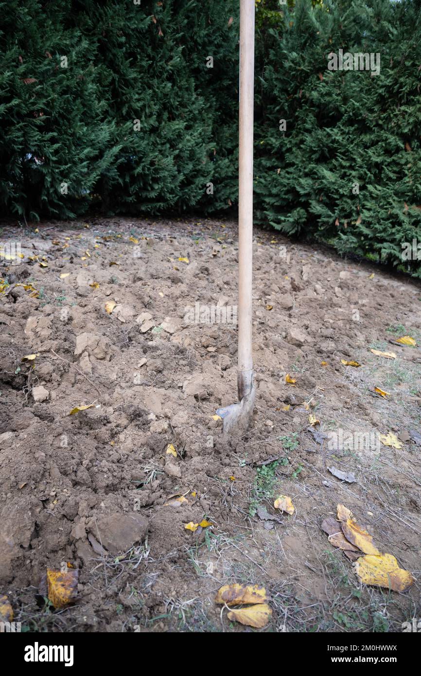 Grabarbeiten in einem Gemüsegarten zur Vorbereitung des Landes für die Frühjahrssaat. Stockfoto