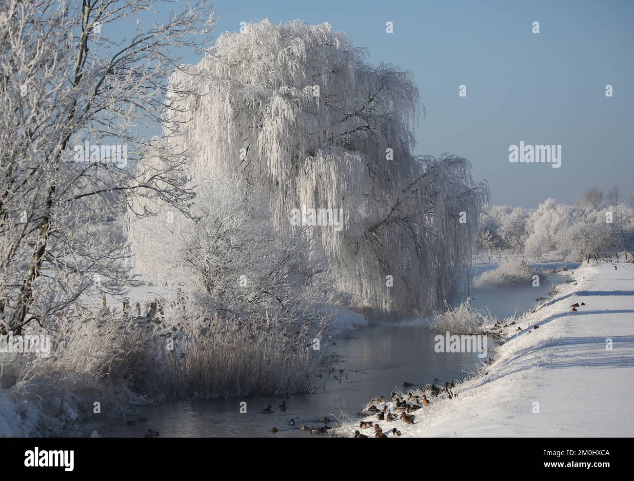 Eisige Landschaft, eisige Weide, Fluss Stockfoto
