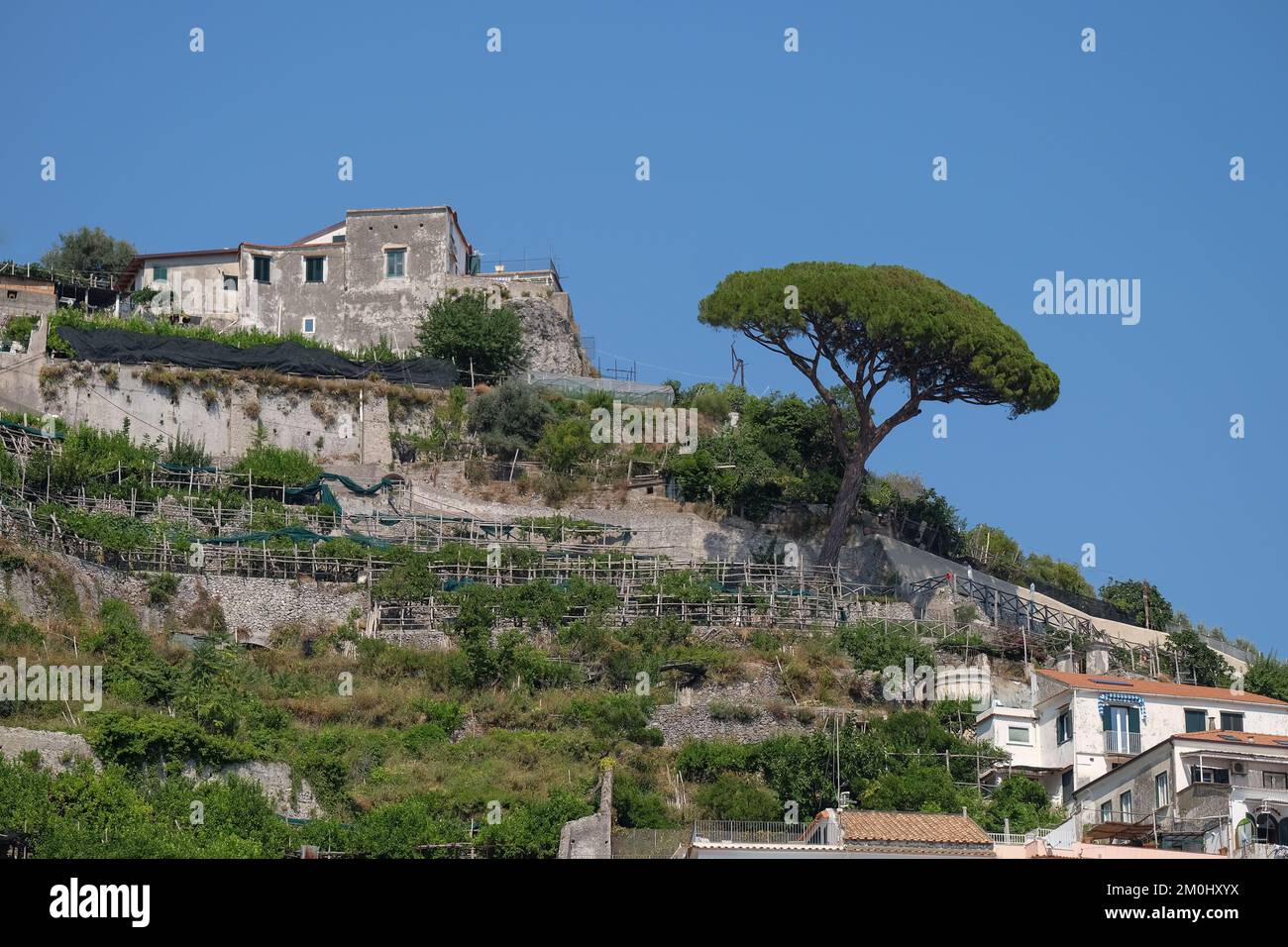 Ein Blick auf ein Haus an den Klippen mit steilen Gartenpflanzen (die besten Zitronen) über der Stadt Amalfi Italien. Stockfoto