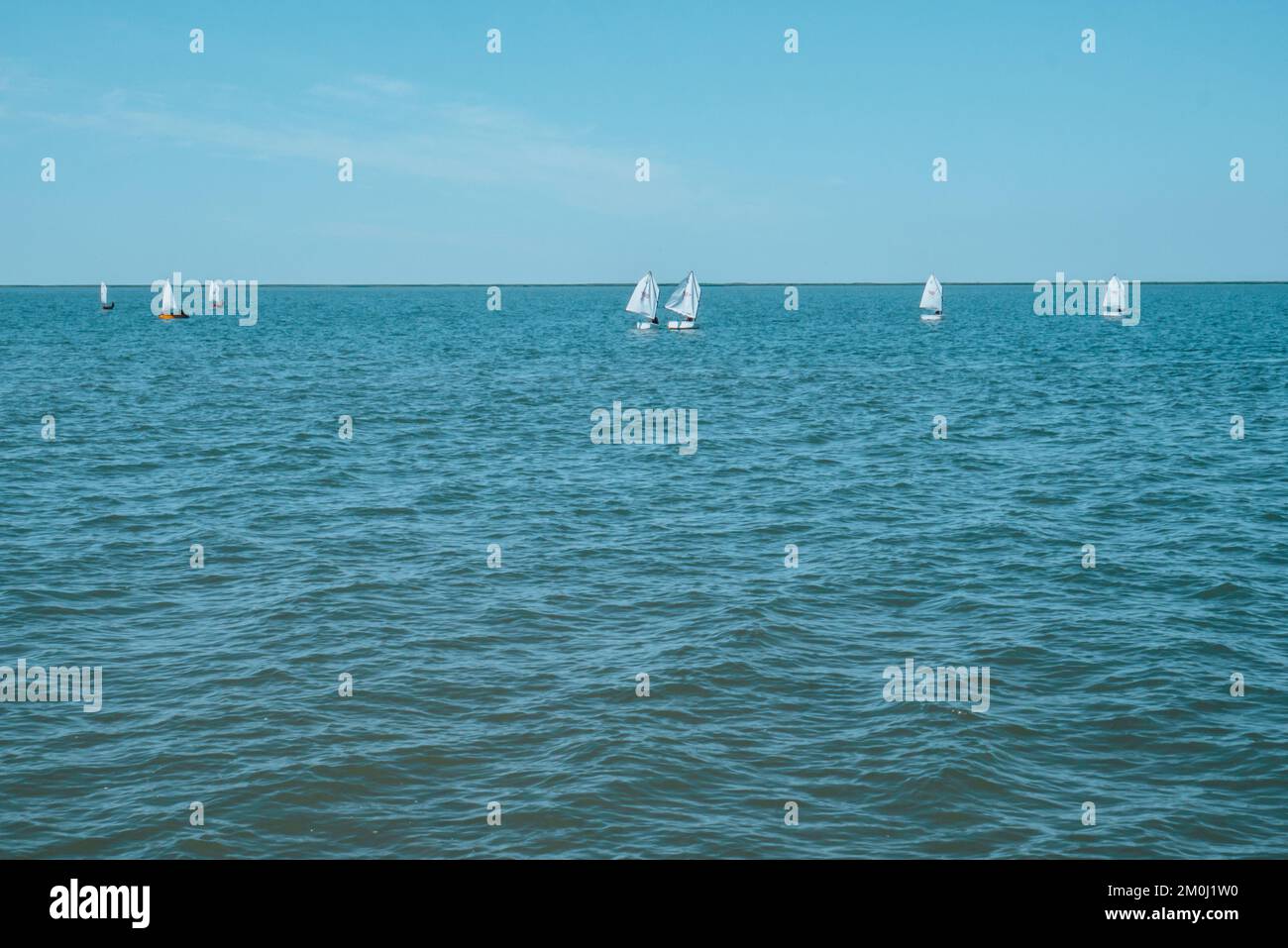 Segelregatta der Juniorklasse. Stockfoto